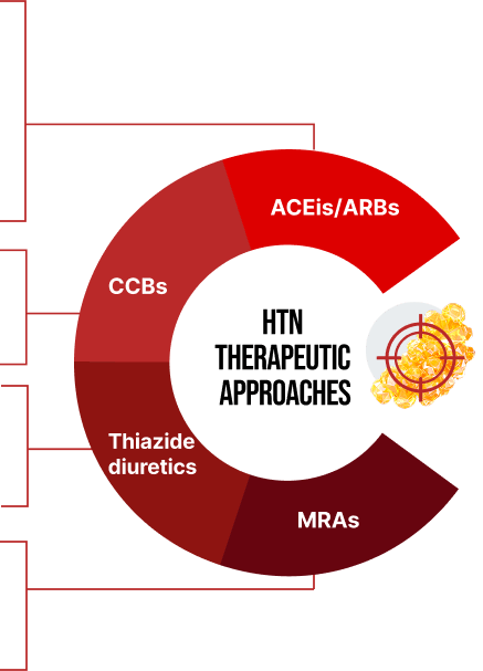 HTN Therapeutic Approaches