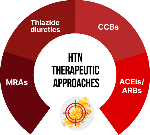 HTN Therapeutic Approaches