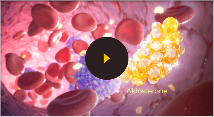 Learn About Aldosterone Function